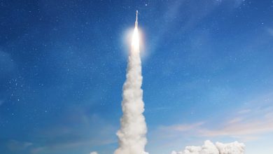Experts Believe “SpaceX’s IPO Is a Bet Gravity Doesn’t Apply to Elon Musk.” Here’s the Truth.