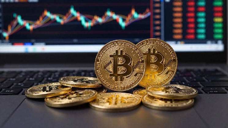 How to Survive Crypto Crashes with Dollar Cost Averaging and Invest for the Long Term