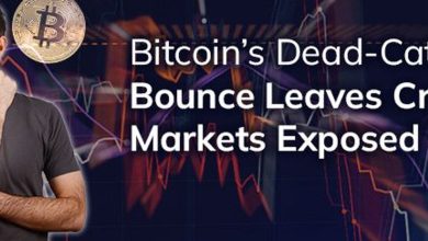 Bitcoin’s dead-cat bounce leaves crypto markets exposed