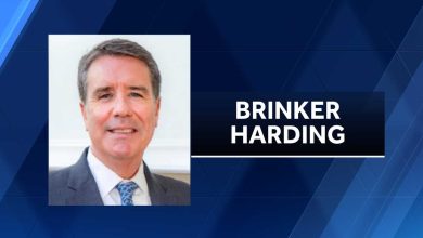 Harding files personal finance disclosure more than 10 months late
