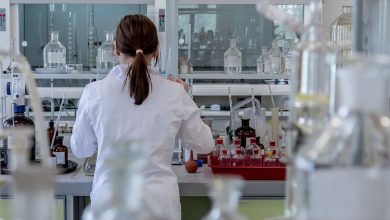 How One Partnership Profit Line Reframes The Regeneron Pharmaceuticals Stock Story