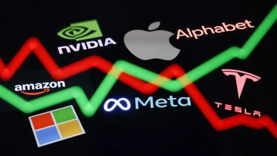 Why SPCX, INFQ, PLTR, QBTS, HIMS Are In Focus