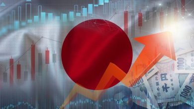 After Reviewing Every International Developed Market ETF These 3 Cover Japan and Europe Better Than Anything Else