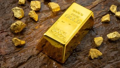 Could (TSX:IAU) Nevada Expansion Signal More Mining Growth Ahead?