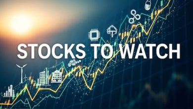 Stocks to Watch for June 4: Rajesh Exports, Aurobindo Pharma, IndiGo, NBCC and more