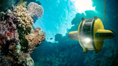 This Ocean Mining Stock Just Got a Green Light From NOAA. Is it a Buy?