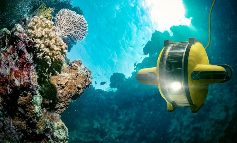 This Ocean Mining Stock Just Got a Green Light From NOAA. Is it a Buy?