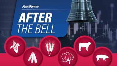After the Bell | Winter wheat futures surge higher