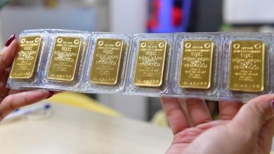 Gold prices rally – VnExpress International