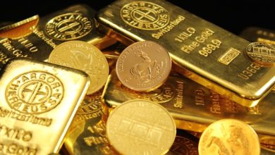 Canary Gold Advances Madeira River Paleochannel Exploration Amid Rising Gold Market Interest