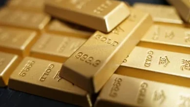 Gold up as international market hits two-week high