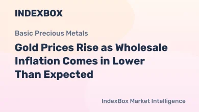 Gold Market Gains Momentum After Softer PPI Data in June 2026 – News and Statistics