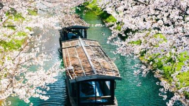SBI Holdings partners with Solana to create Japan’s first crypto financial market