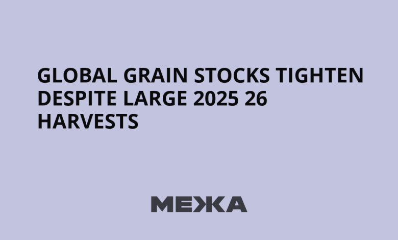 Global grain stocks tighten despite large 2025 26 harvests | Ukraine news