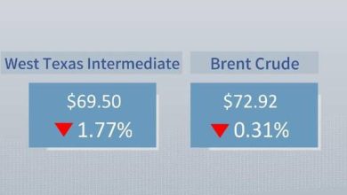 Crude futures settle lower