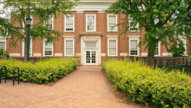 Will SpaceX’s IPO affect the University’s endowment? – The Cavalier Daily