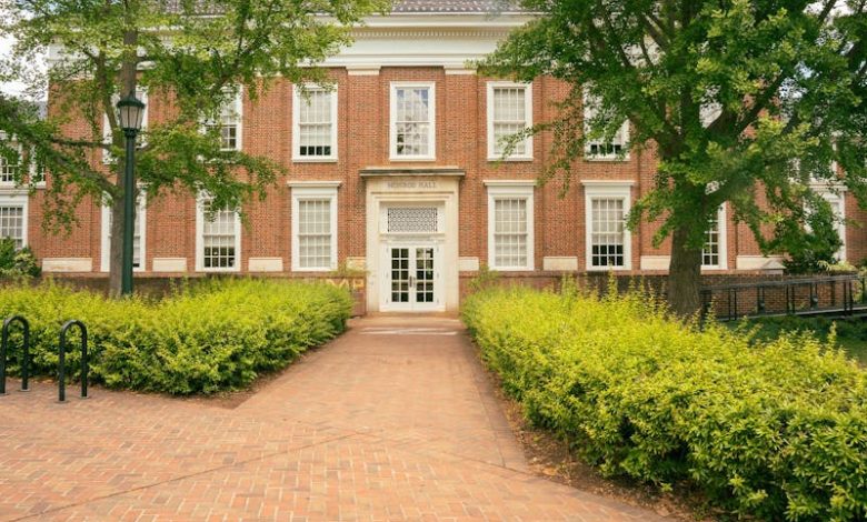 Will SpaceX’s IPO affect the University’s endowment? – The Cavalier Daily