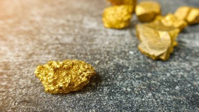 Gold Mining Stocks in Focus as New Projects and Policy Changes Reshape the Sector