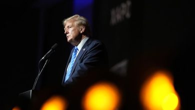 Trump gave crypto the red-carpet treatment. It’s crashing anyway