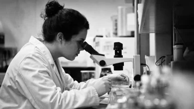 Vertex Pharma stock steadies as cystic fibrosis franchise drives revenue and investors watch next da