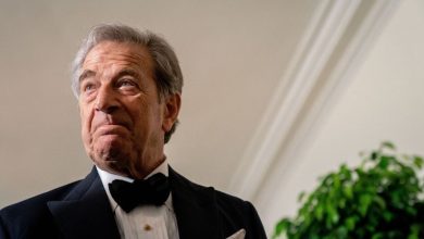 Paul Pelosi charged with misdemeanor hit-and-run over collision with parked car