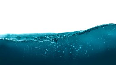 What’s Behind the Growing Appeal of Alternative ETFs?