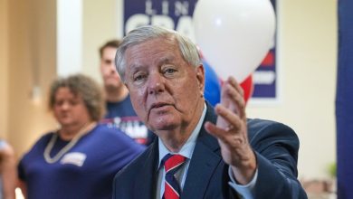 Political expert explains South Carolina’s Senate replacement process