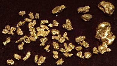 Goldplat expects FY2026 results to beat market forecasts on higher gold prices (GDP)