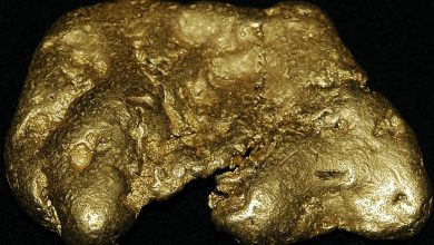 Gold holds near ,000 as Fed rate expectations offset safe-haven demand