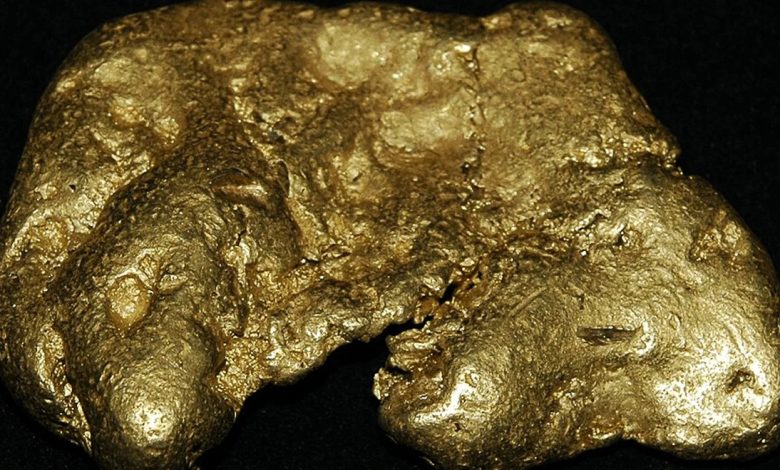 Gold holds near ,000 as Fed rate expectations offset safe-haven demand