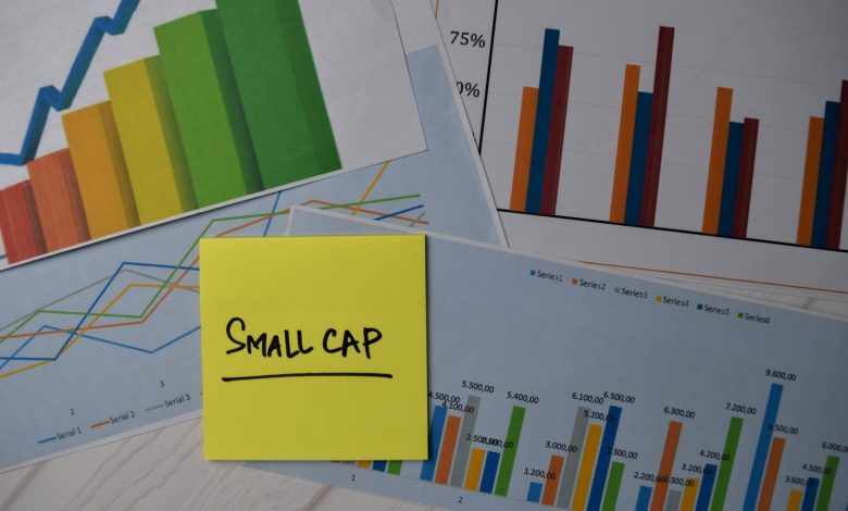 FNDC: Small- And Mid-Cap International ETF With An Edge (NASDAQ:SCZ)