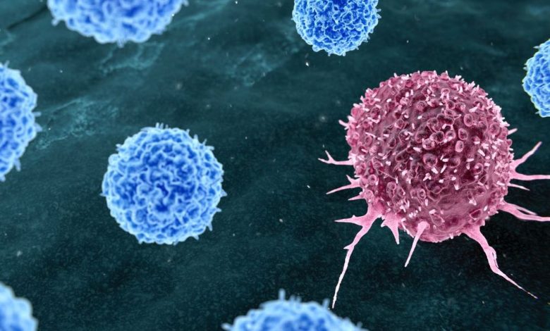 Retail Bets On Big Pharma Buyouts As J&J Chases No. 1 Oncology Spot