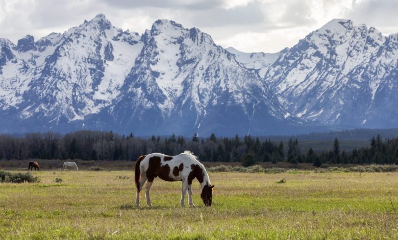 Zero State Income Tax and 0,000: Here’s How to Retire to Wyoming at 62