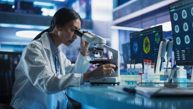 Has Island Pharmaceuticals (ASX:ILA) More Growth Ahead After a 164% One-Year Rally?