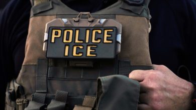 ICE pauses most traffic stops after deadly incidents in Maine, Texas